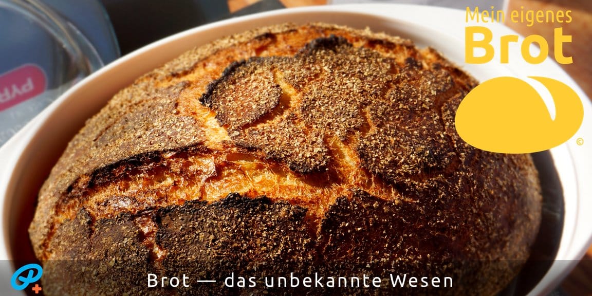 Brot — das unbekannte Wesen