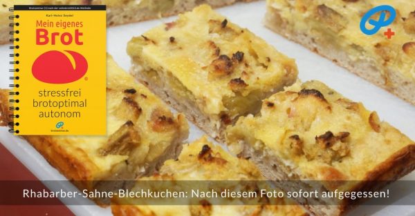 Diese Rhabarber-Sahne-Blechkuchen-Stückchen Wurden Sofort Aufgegessen, Nachdem Dieses Foto Im Apparat War!